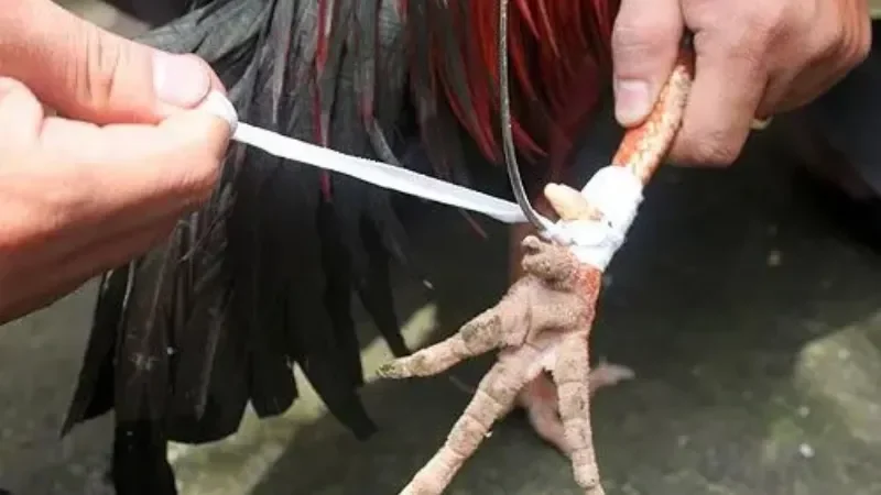 Bí kíp tăng cơ hội thành công ngay lần đầu thực hiện