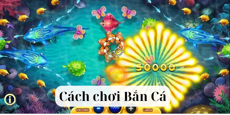 Cách chơi bắn cá trong siêu thị có khó không?