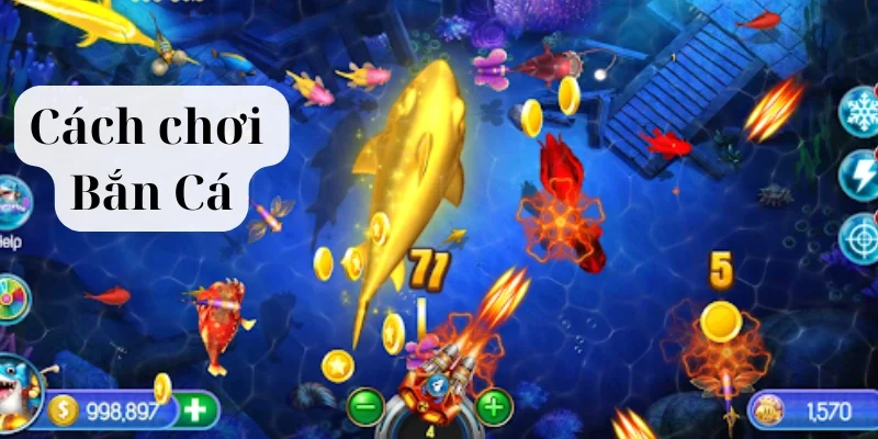 Mẹo chơi bắn cá hay: Từ Tân Thủ Thành Cao Thủ