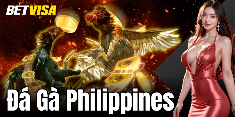 Đá Gà Philippines – Bí Quyết Chọn Gà Chiến Thắng Dễ Dàng