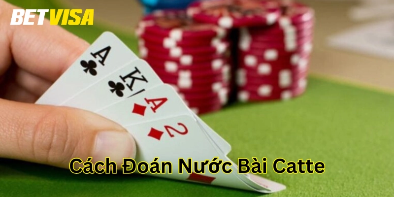 Cách Đoán Nước Bài Catte cần lưu ý gì?