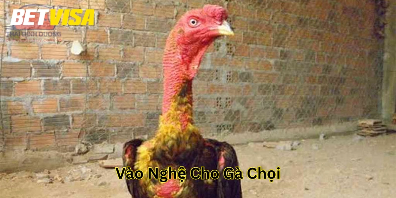 Hướng dẫn cách làm đúng