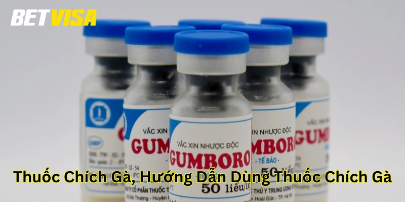 Hướng dẫn sử dụng Thuốc chích gà, hướng dẫn dùng thuốc chích gà