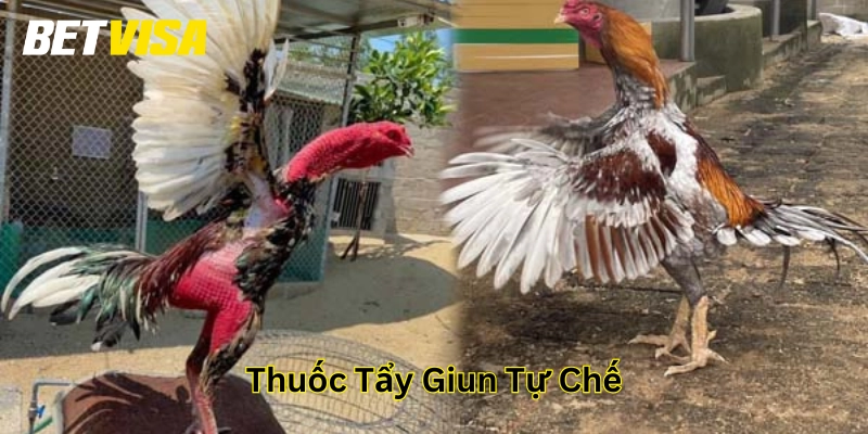 Lưu ý trong Thuốc Tẩy Giun Tự Chế