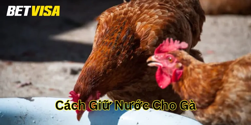 Mẹo dân gian nên áp dụng